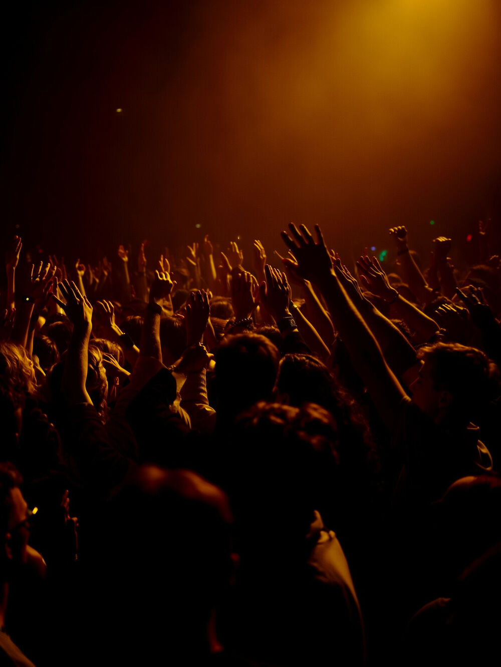 Crowd with hands up in amber light